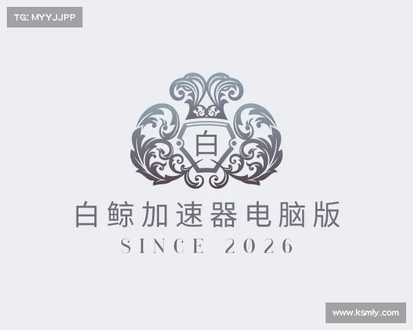 认识白鲸加速器电脑版